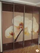Шкаф-купе «Нежность орхидей» с фотопечатью, фотография 1