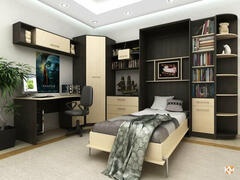 Шкаф-кровать «Два цвета» с угловым комплексом, фотография 1
