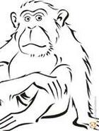Пескоструйный рисунок "обезьянка"