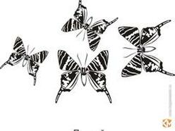 Пескоструйный рисунок "бабочки"